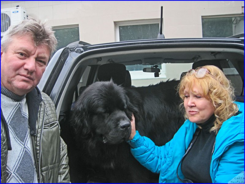 Фотография № 213803