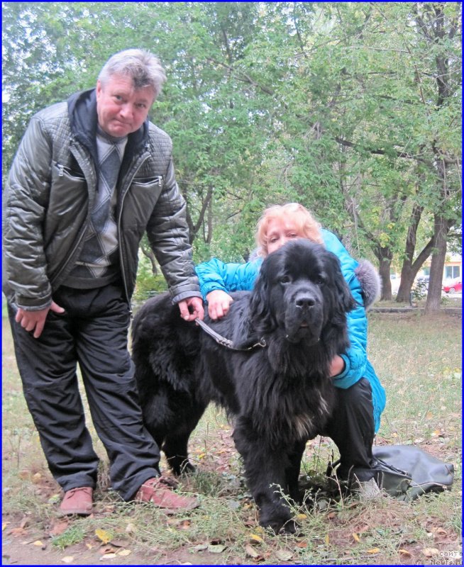 Фото: ньюфаундленд Super Bizon Norberto (Супер Бизон Норберто), Георгий, Таня