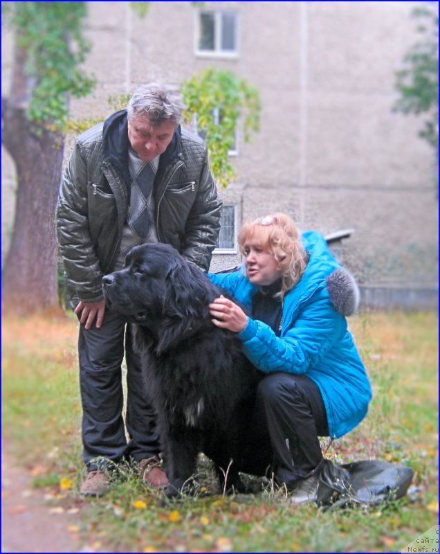 Фотография № 213808