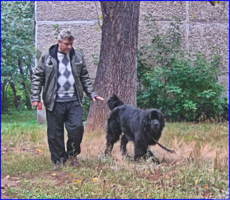 Фотография № 213810