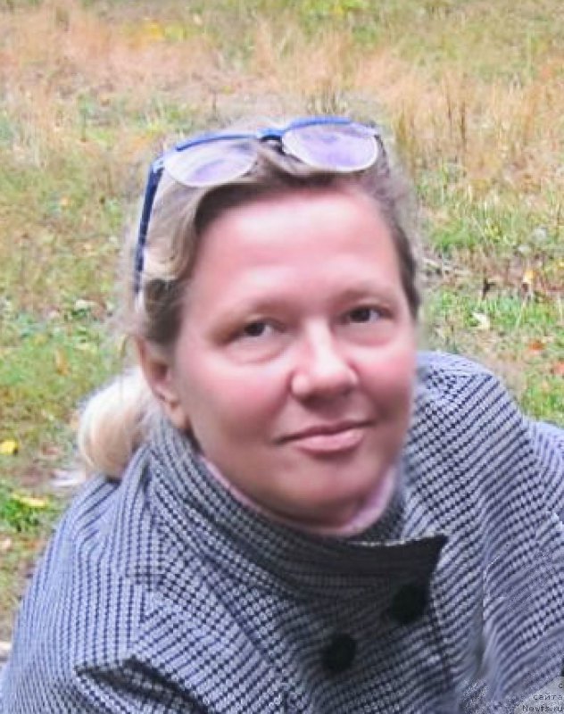 Фотография № 213819