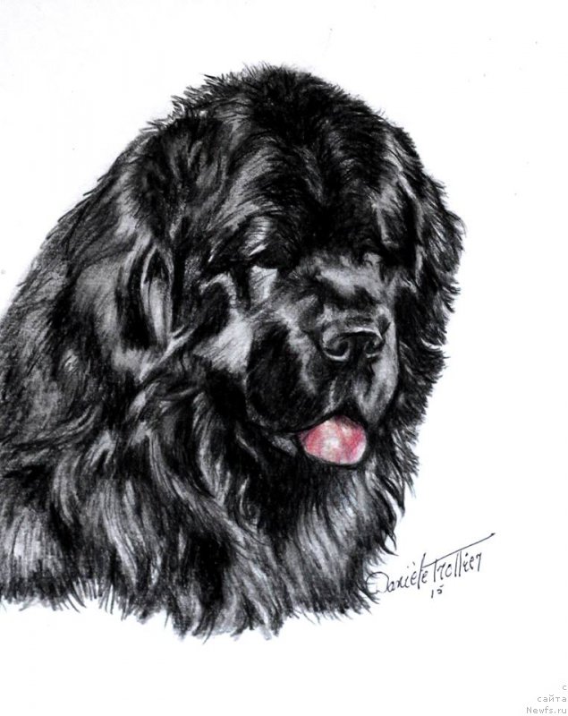 Фотография № 213823