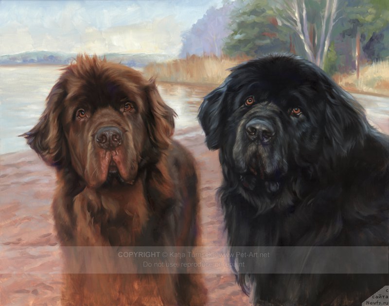 Фотография № 213824