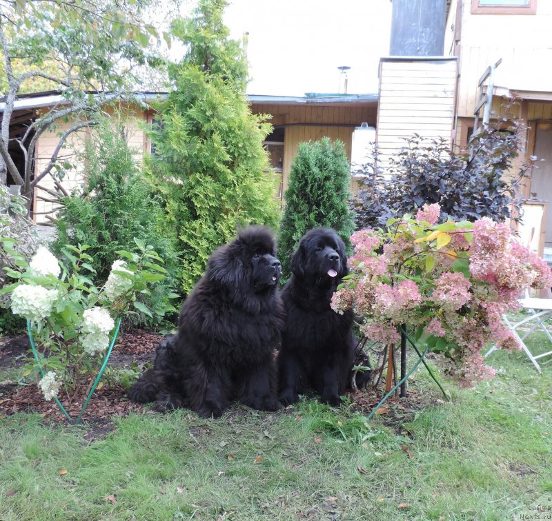 Фотография № 213826