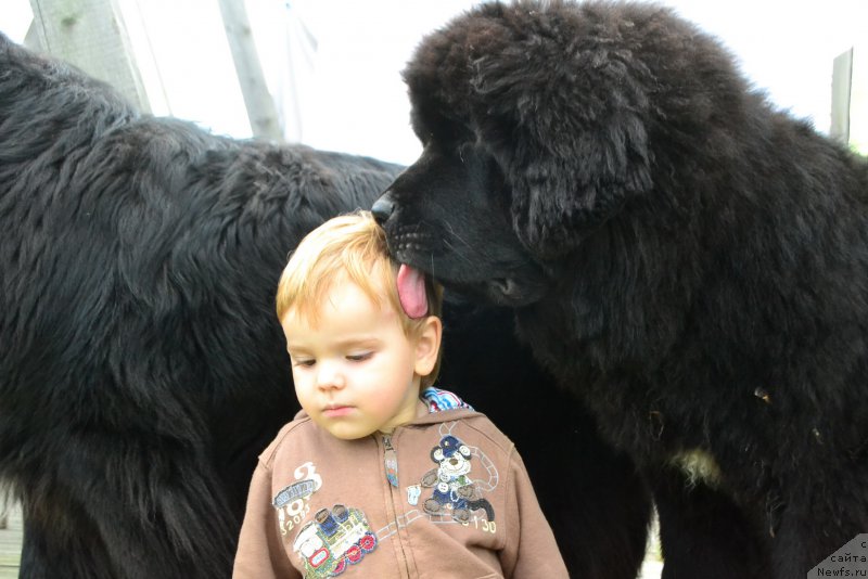 Фотография № 213829