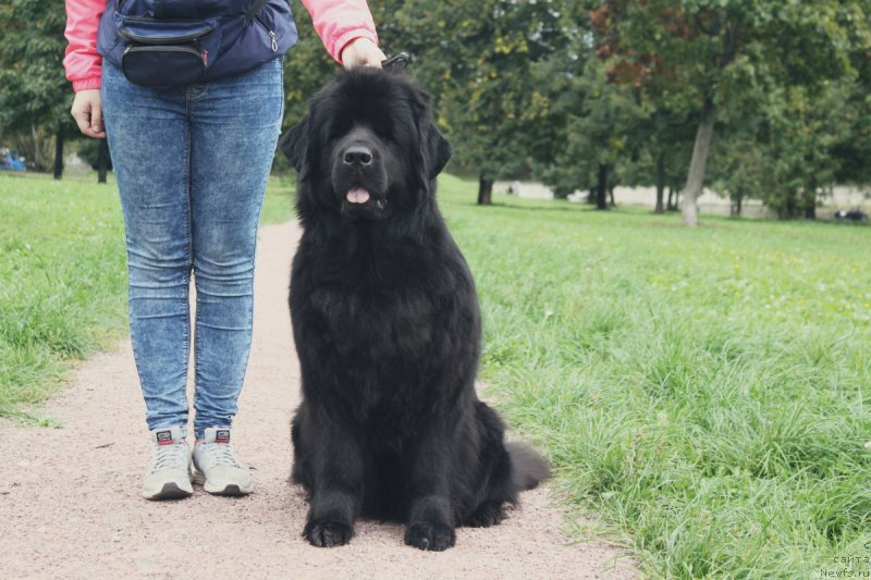 Фотография № 213844