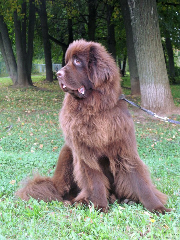 Фотография № 213880