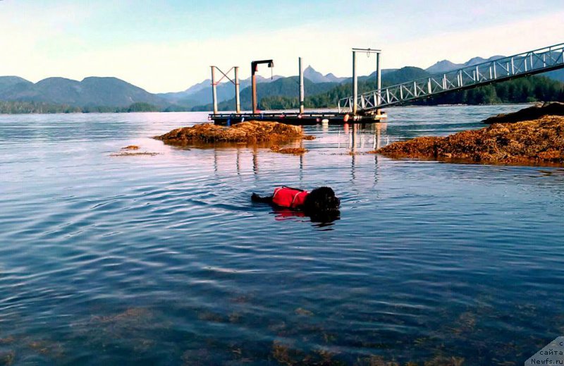 Фотография № 213897