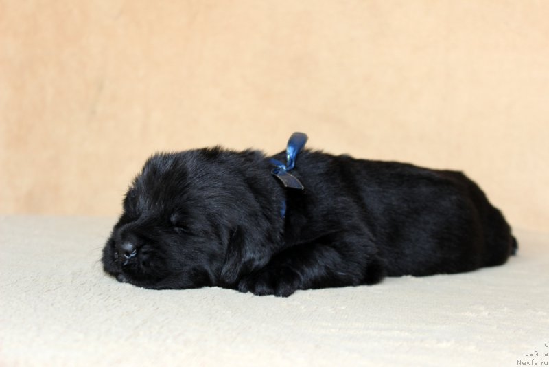 Фотография № 213975