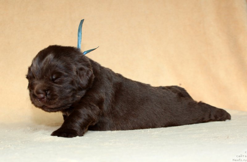 Фотография № 213978