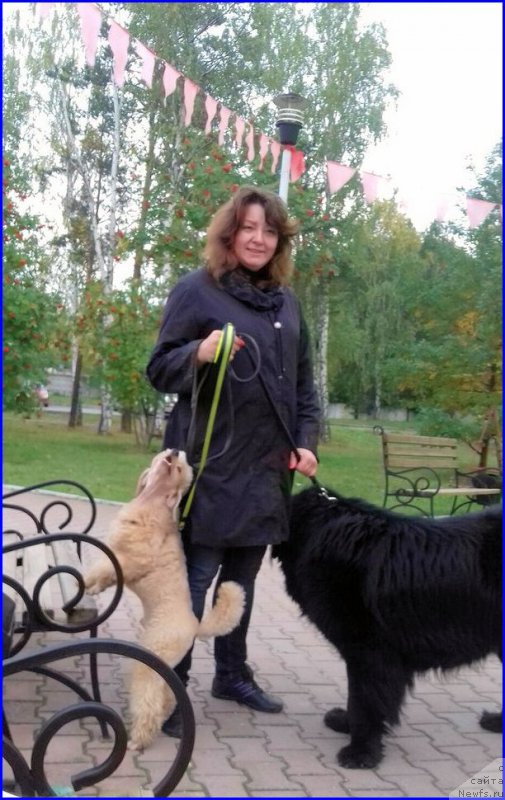 Фотография № 213982