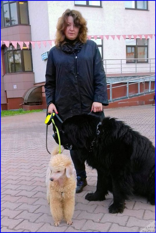 Фотография № 213985