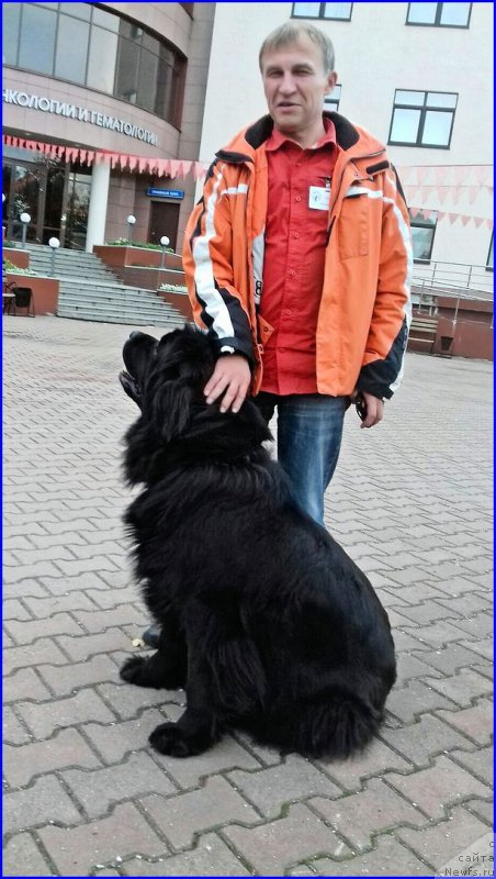 Фотография № 213987