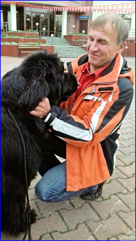 Фотография № 213988