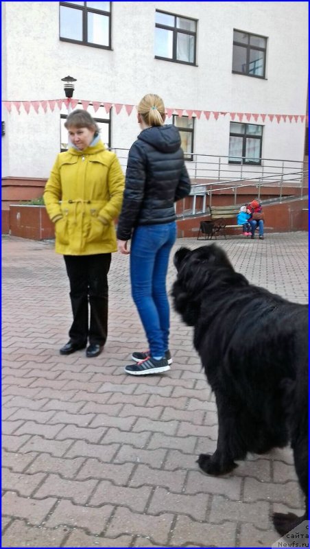 Фотография № 213991