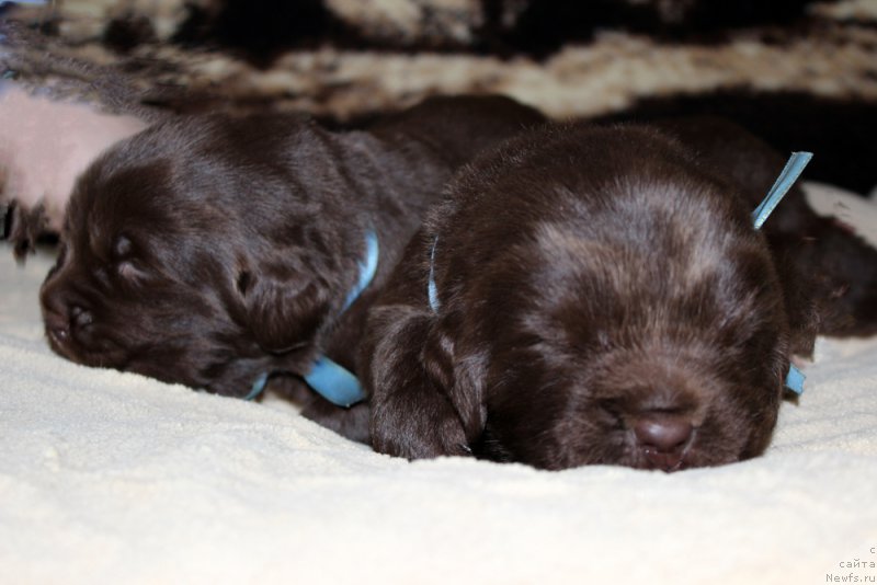 Фотография № 214011