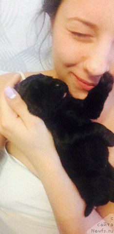 Фотография № 214016