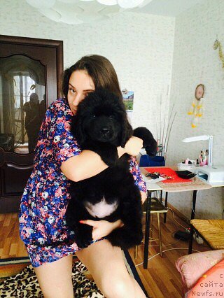 Фотография № 214017