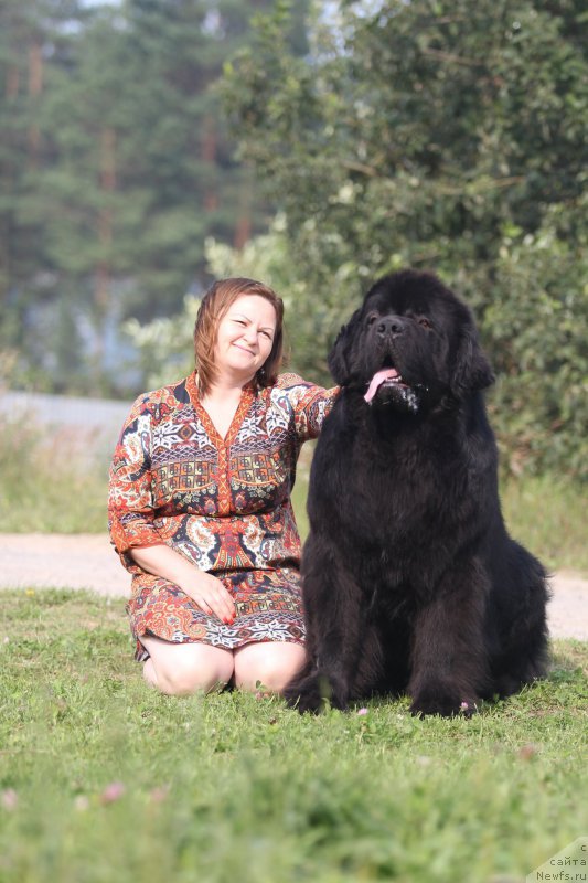 Фотография № 214030