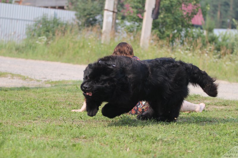 Фотография № 214033