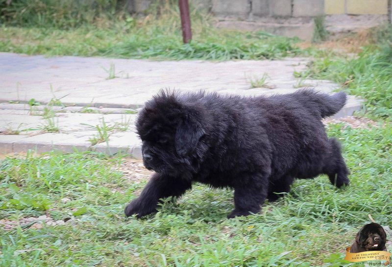 Фотография № 214084