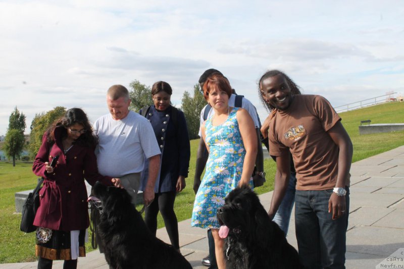 Фото: ньюфаундленд Obush SHed Vil'gel'm Til' (Обуш Шед Вильгельм Тиль), ньюфаундленд Super Bizon O La La (Супер Бизон О Ла Ла)