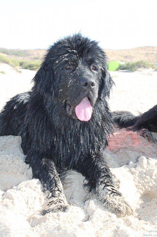 Фотография № 214100