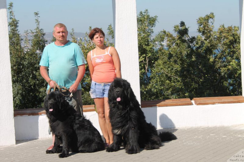 Фотография № 214102