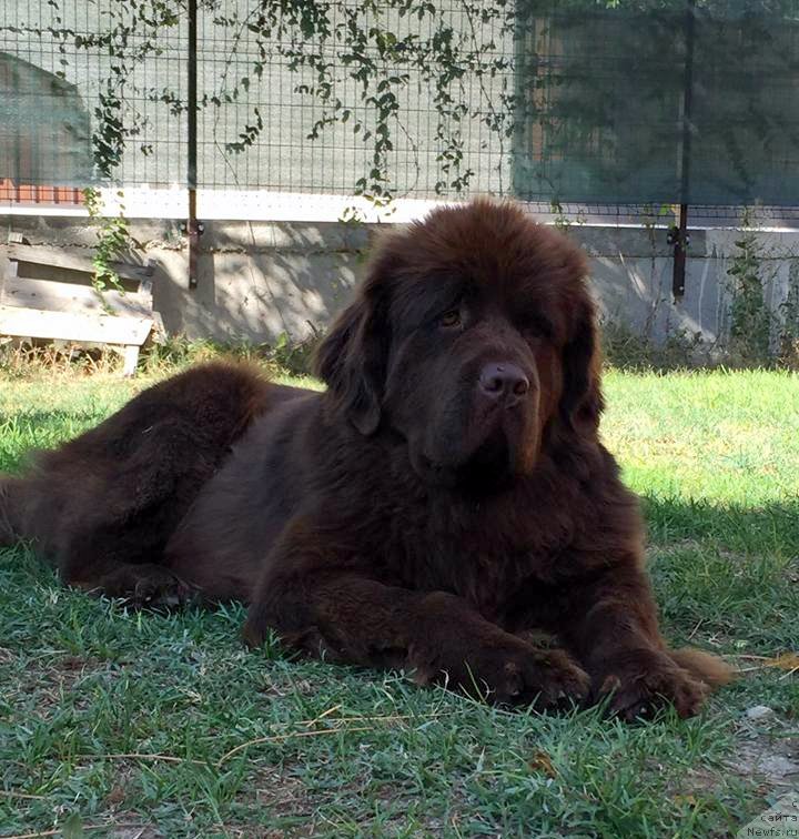 Фотография № 214105