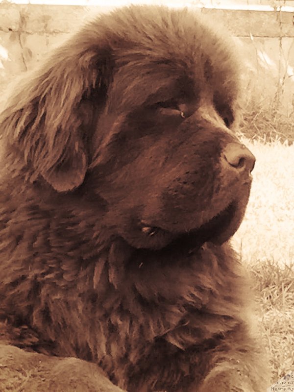 Фотография № 214107