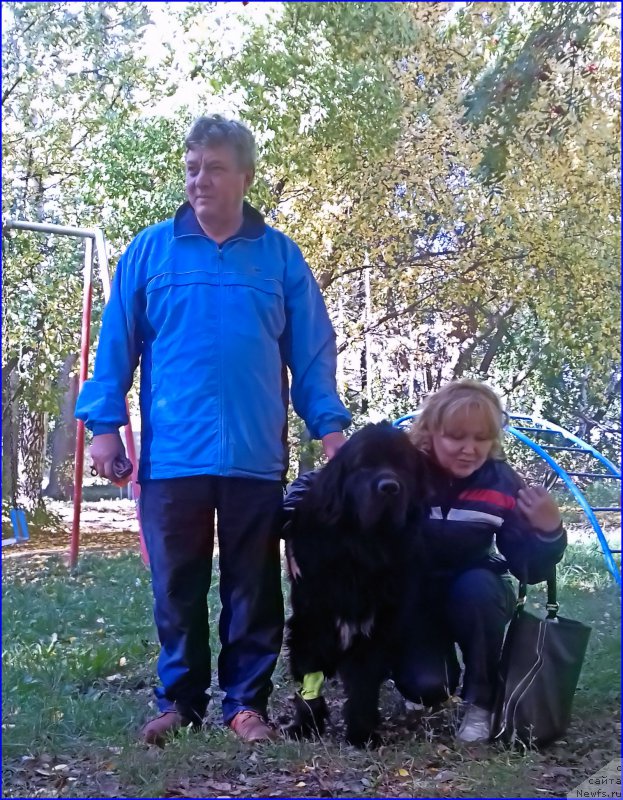 Фотография № 214150