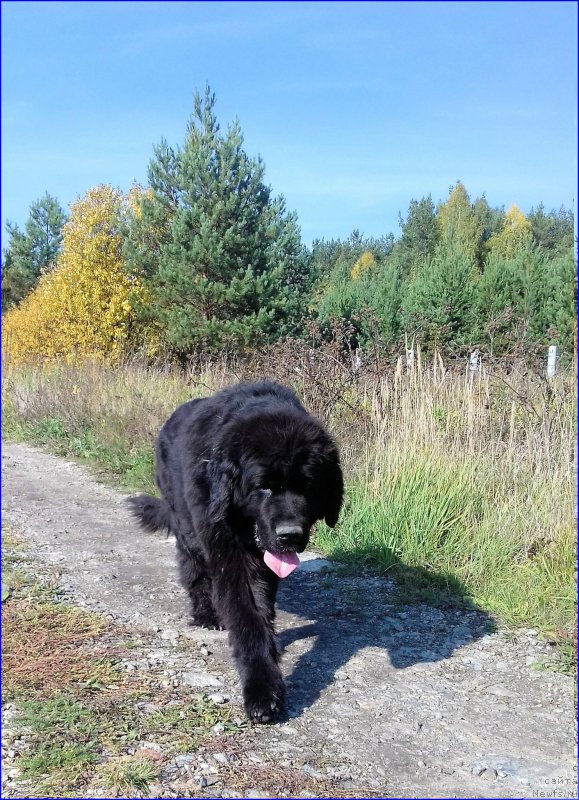 Фотография № 214161