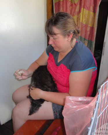 Фотография № 214172