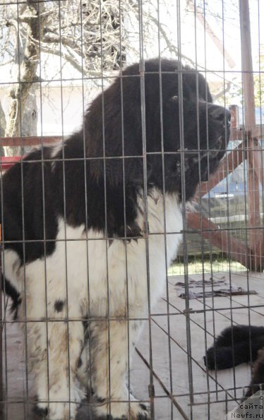 Фотография № 214173