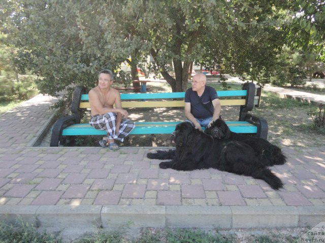 Фотография № 214175