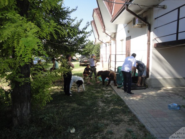 Фотография № 214176