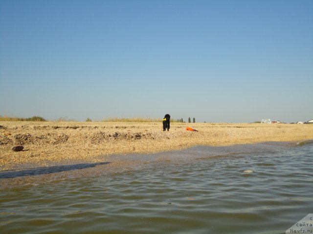 Фотография № 214181