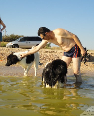 Фотография № 214182