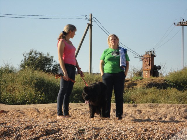 Фотография № 214183