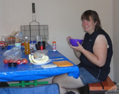 Фотография № 214186