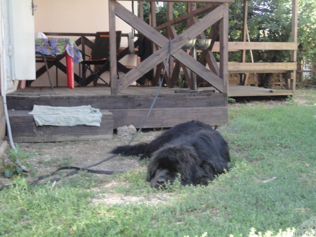 Фотография № 214187