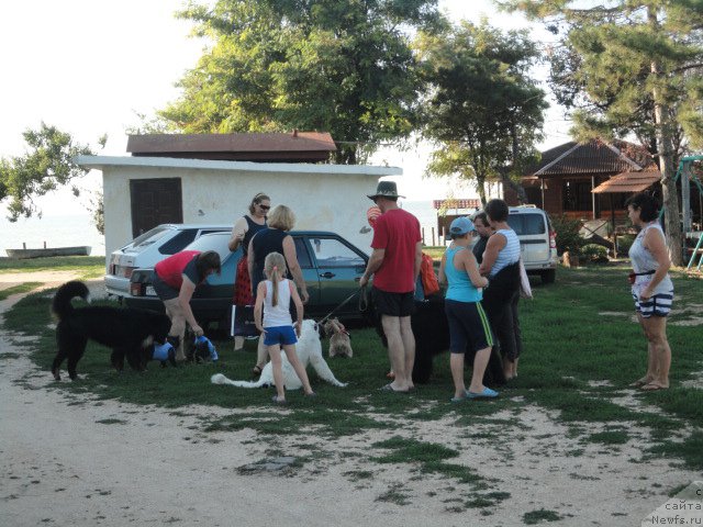 Фотография № 214188