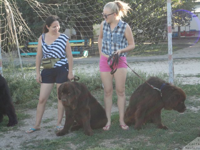 Фотография № 214190