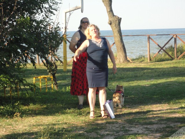 Фотография № 214192