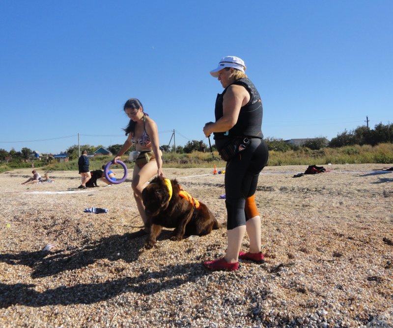 Фотография № 214200