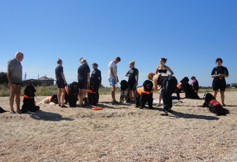 Фотография № 214206