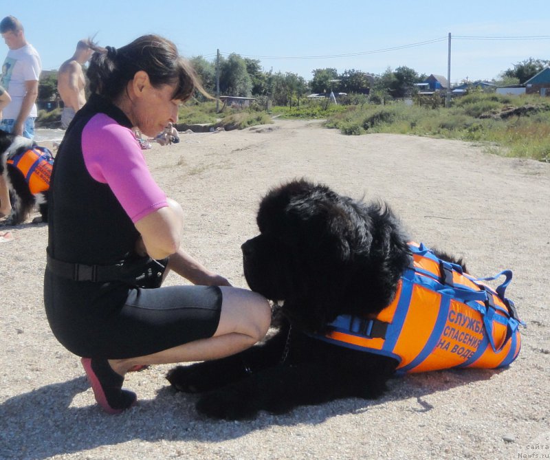 Фотография № 214207