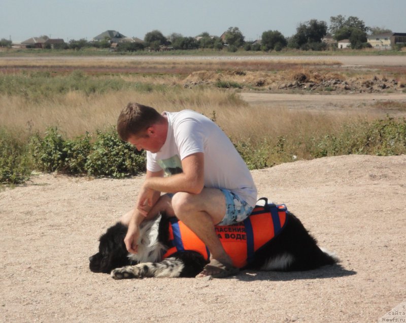 Фотография № 214211