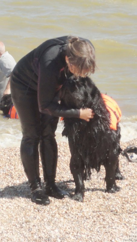 Фотография № 214212