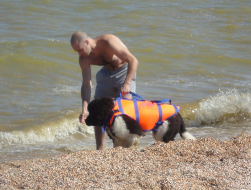 Фотография № 214213